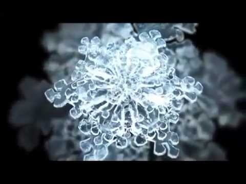 the true power of water by masaru emoto download movies